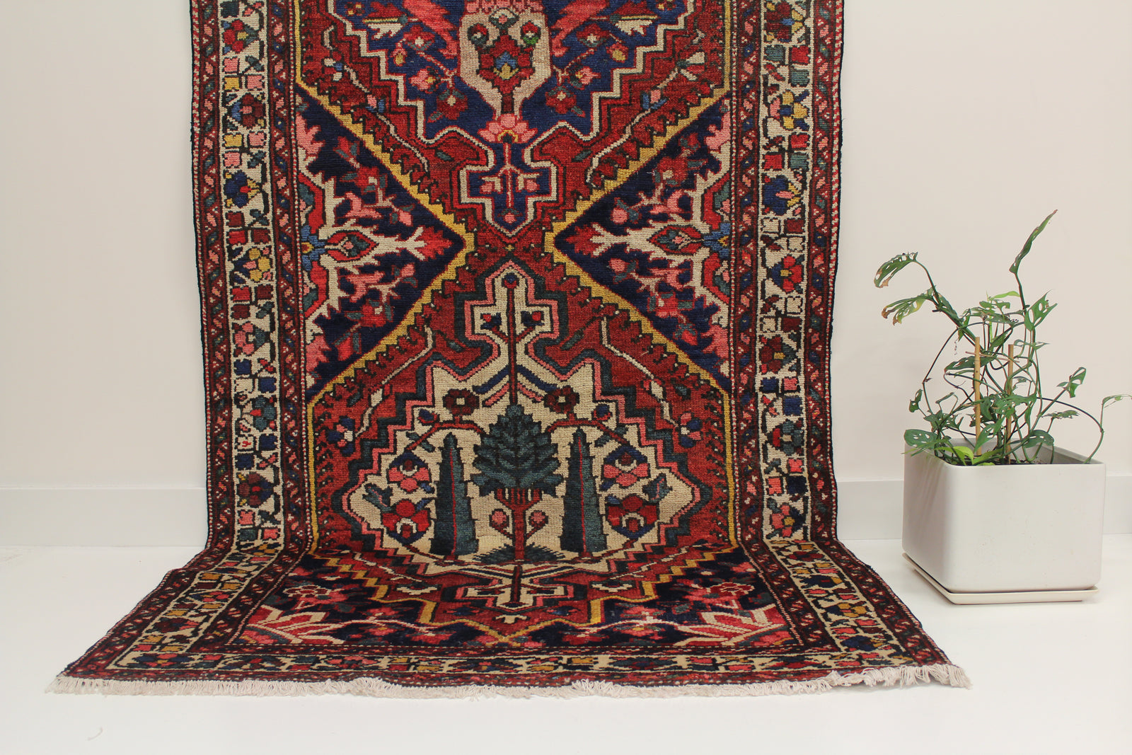 HÔDA/ 323x115 CM BAKHTIYARI EXTRAORDINARY RUNNER – The Bo