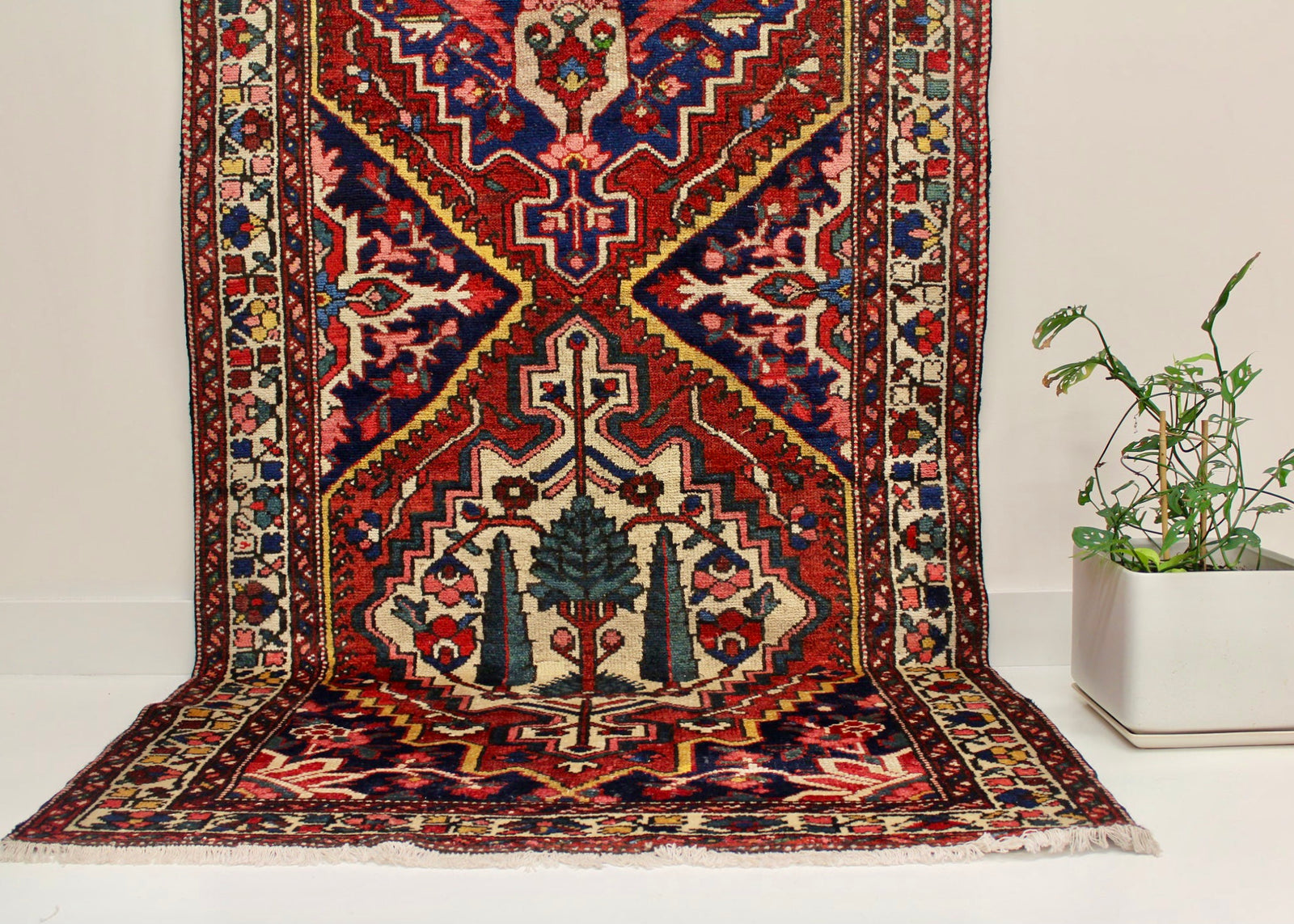 HÔDA/ 323x115 CM BAKHTIYARI EXTRAORDINARY RUNNER – The Bo