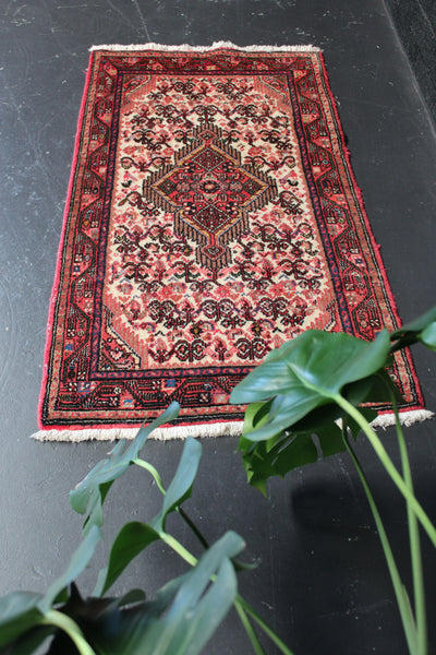 TARNI / 130 x 73 CM HAMEDAN ENTRANCE RUG